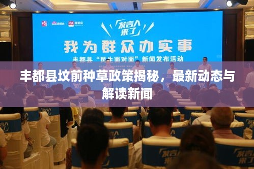 豐都縣墳前種草政策揭秘，最新動(dòng)態(tài)與解讀新聞