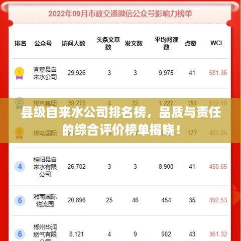 縣級(jí)自來水公司排名榜，品質(zhì)與責(zé)任的綜合評(píng)價(jià)榜單揭曉！