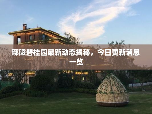 鄢陵碧桂園最新動態(tài)揭秘，今日更新消息一覽