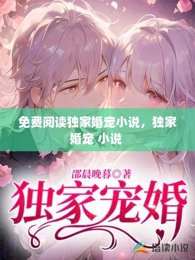 免費閱讀獨家婚寵小說，獨家婚寵 小說 