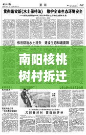 南陽核桃樹村拆遷重磅更新，最新動態(tài)揭秘！
