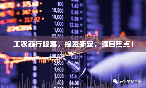 工農(nóng)商行股票，投資新寵，矚目焦點！
