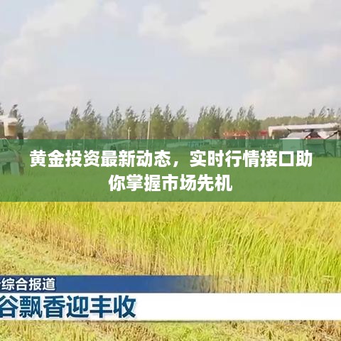 黃金投資最新動態(tài)，實時行情接口助你掌握市場先機
