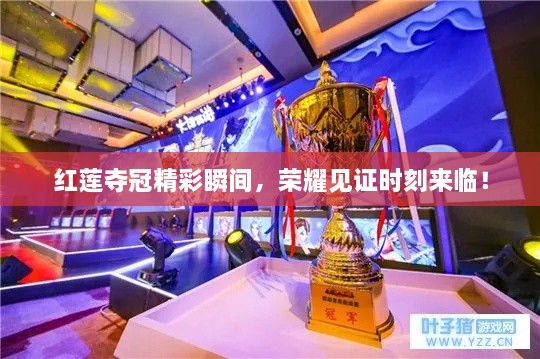 紅蓮?qiáng)Z冠精彩瞬間，榮耀見證時(shí)刻來(lái)臨！
