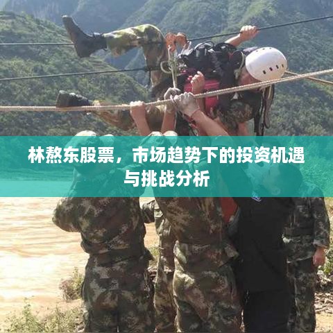 林熬東股票，市場(chǎng)趨勢(shì)下的投資機(jī)遇與挑戰(zhàn)分析