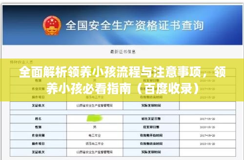 全面解析領(lǐng)養(yǎng)小孩流程與注意事項，領(lǐng)養(yǎng)小孩必看指南（百度收錄）