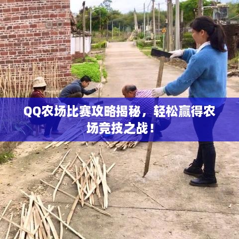 QQ農(nóng)場(chǎng)比賽攻略揭秘，輕松贏得農(nóng)場(chǎng)競(jìng)技之戰(zhàn)！