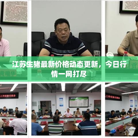 江蘇生豬最新價(jià)格動(dòng)態(tài)更新，今日行情一網(wǎng)打盡