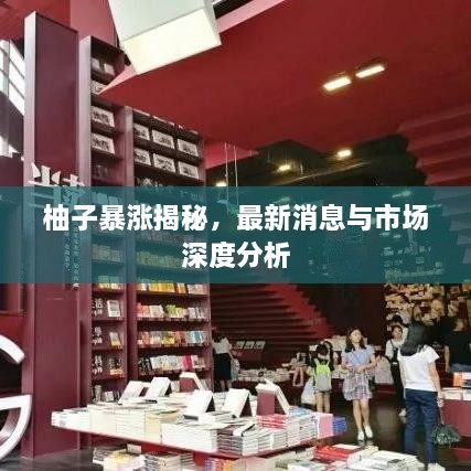柚子暴漲揭秘，最新消息與市場(chǎng)深度分析