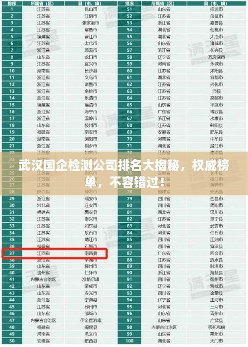 武漢國(guó)企檢測(cè)公司排名大揭秘，權(quán)威榜單，不容錯(cuò)過！