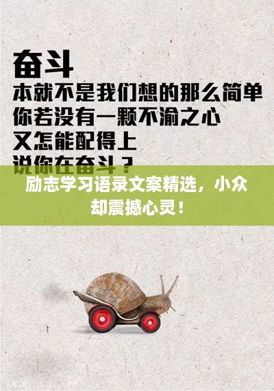 勵(lì)志學(xué)習(xí)語錄文案精選，小眾卻震撼心靈！