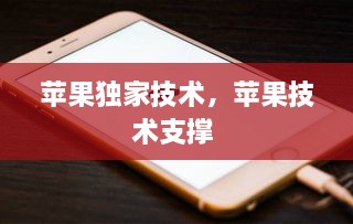 蘋果獨家技術，蘋果技術支撐 