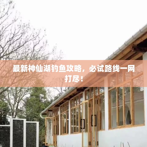 最新神仙湖釣魚攻略，必試路線一網(wǎng)打盡！