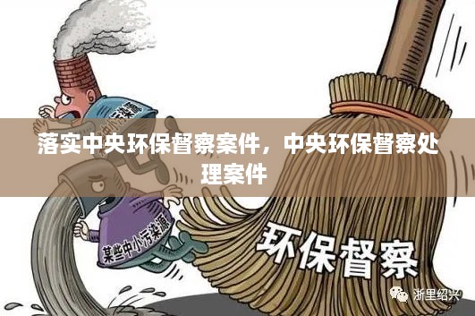 落實中央環(huán)保督察案件，中央環(huán)保督察處理案件 