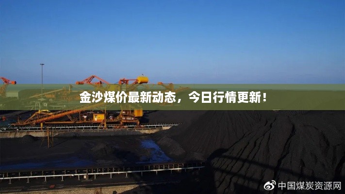 金沙煤價最新動態(tài)，今日行情更新！