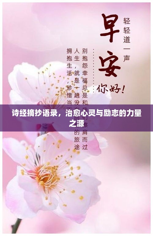 詩經(jīng)摘抄語錄，治愈心靈與勵志的力量之源