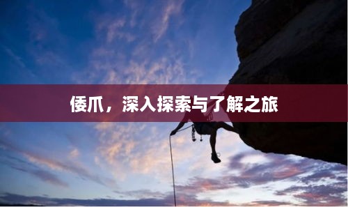 倭爪，深入探索與了解之旅