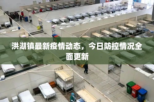 洪湖鎮(zhèn)最新疫情動(dòng)態(tài)，今日防控情況全面更新