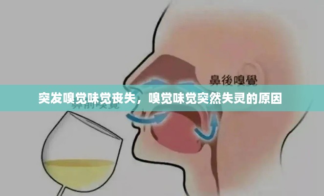 突發(fā)嗅覺味覺喪失，嗅覺味覺突然失靈的原因 