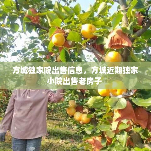 方城獨(dú)家院出售信息，方城近期獨(dú)家小院出售老房子 