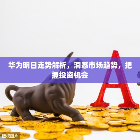 華為明日走勢(shì)解析，洞悉市場(chǎng)趨勢(shì)，把握投資機(jī)會(huì)