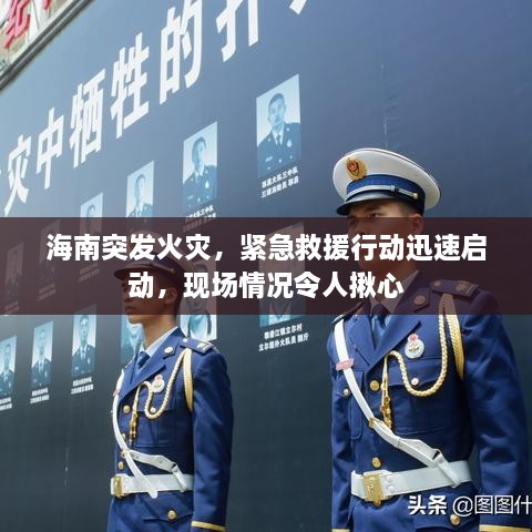 海南突發(fā)火災(zāi)，緊急救援行動(dòng)迅速啟動(dòng)，現(xiàn)場(chǎng)情況令人揪心