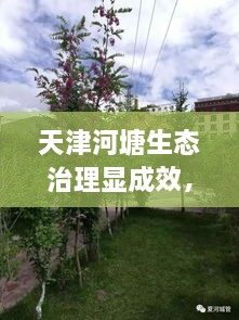 天津河塘生態(tài)治理顯成效，城市面貌煥然一新