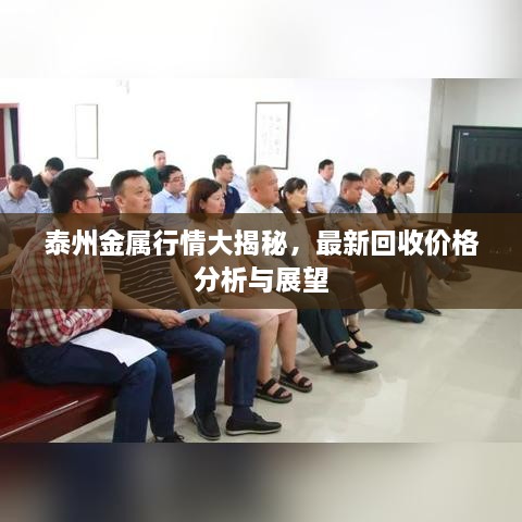 泰州金屬行情大揭秘，最新回收價(jià)格分析與展望