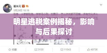 明星逃稅案例揭秘，影響與后果探討