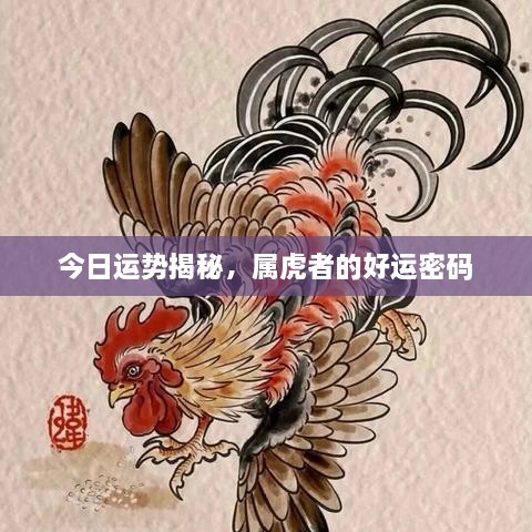 今日運(yùn)勢(shì)揭秘，屬虎者的好運(yùn)密碼