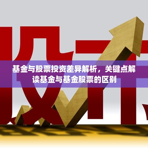 基金與股票投資差異解析，關鍵點解讀基金與基金股票的區(qū)別