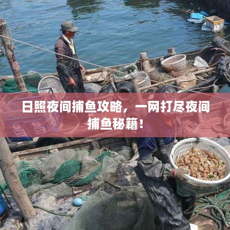 日照夜間捕魚攻略，一網(wǎng)打盡夜間捕魚秘籍！