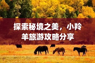 探索秘境之美，小羚羊旅游攻略分享