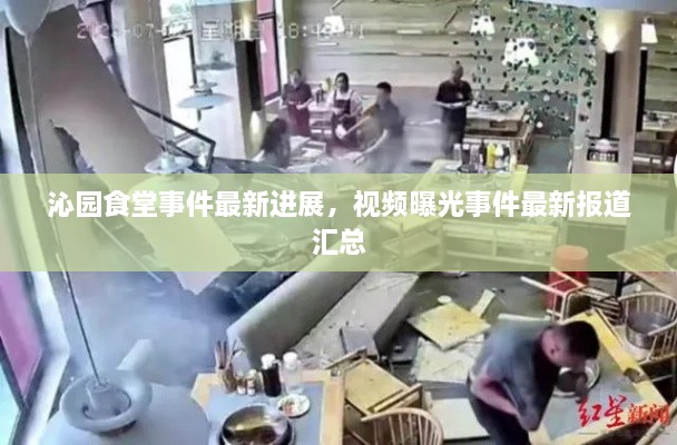 沁園食堂事件最新進(jìn)展，視頻曝光事件最新報道匯總