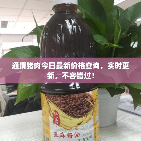 通渭豬肉今日最新價格查詢，實(shí)時更新，不容錯過！