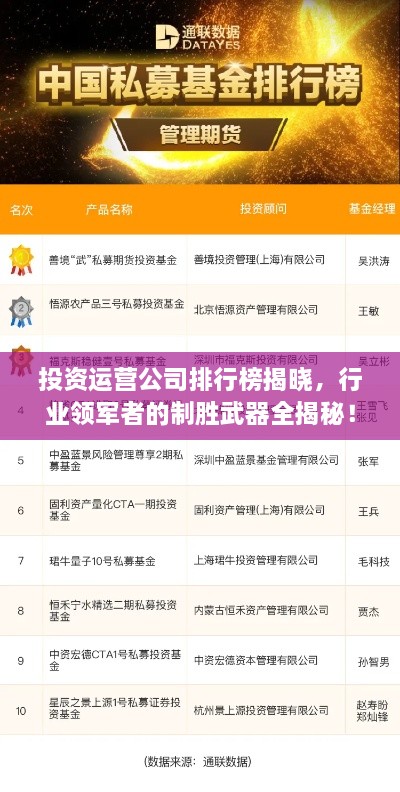 投資運(yùn)營公司排行榜揭曉，行業(yè)領(lǐng)軍者的制勝武器全揭秘！