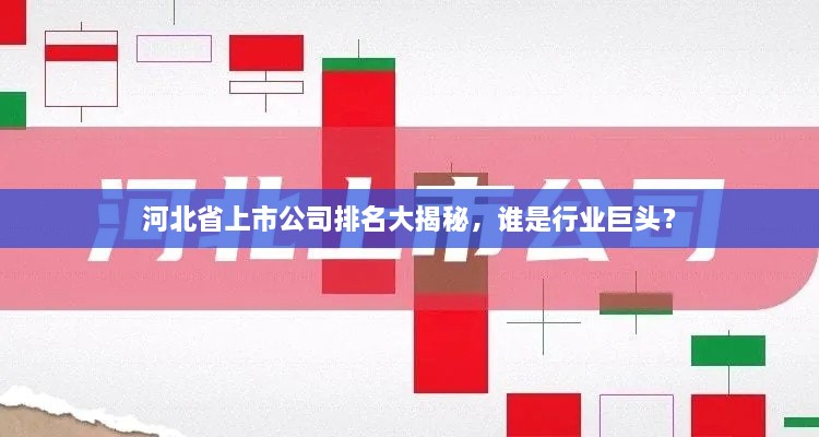 河北省上市公司排名大揭秘，誰是行業(yè)巨頭？