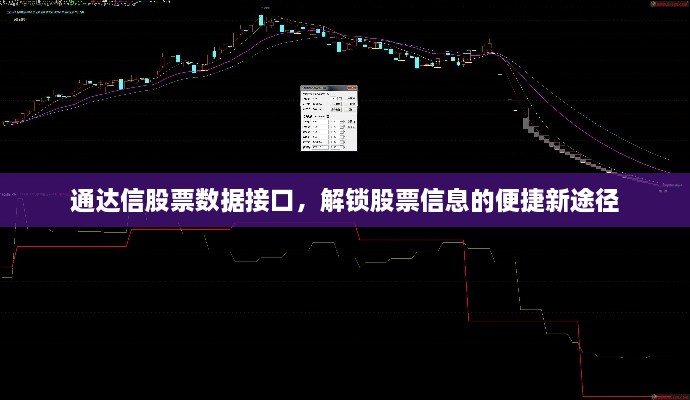 通達信股票數(shù)據(jù)接口，解鎖股票信息的便捷新途徑