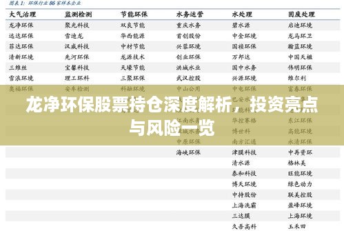 龍凈環(huán)保股票持倉深度解析，投資亮點與風險一覽