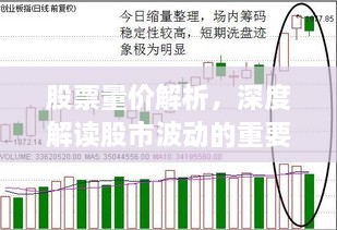 股票量價(jià)解析，深度解讀股市波動(dòng)的重要指標(biāo)！