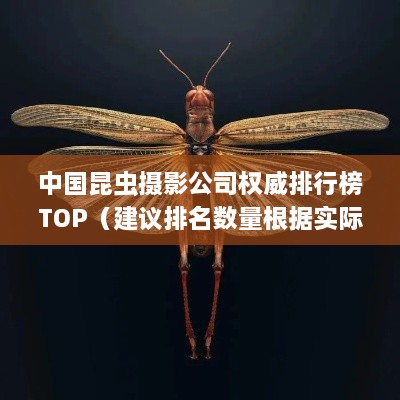 中國昆蟲攝影公司權威排行榜TOP（建議排名數(shù)量根據實際情況調整）