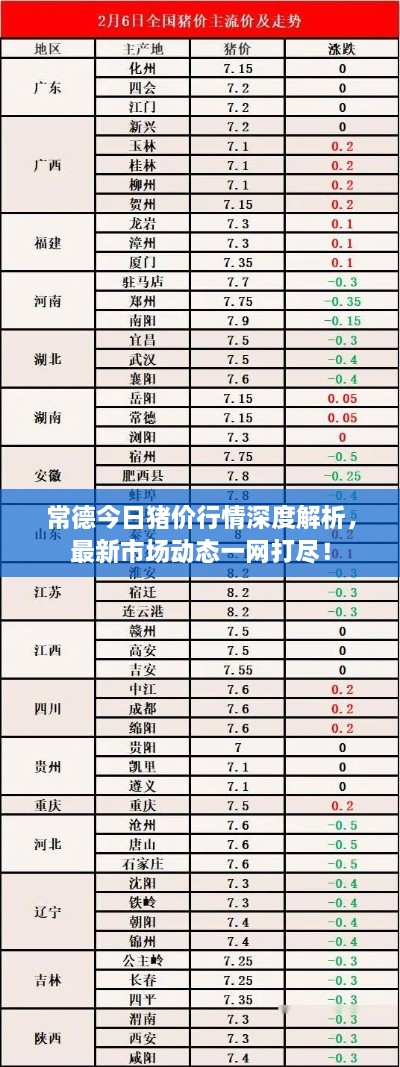 常德今日豬價(jià)行情深度解析，最新市場(chǎng)動(dòng)態(tài)一網(wǎng)打盡！