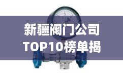 新疆閥門公司TOP10榜單揭曉，行業(yè)領(lǐng)軍者一覽無余