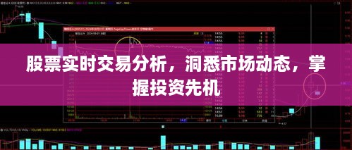 股票實(shí)時(shí)交易分析，洞悉市場動(dòng)態(tài)，掌握投資先機(jī)