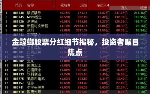 金螳螂股票分紅細(xì)節(jié)揭秘，投資者矚目焦點(diǎn)