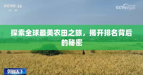 探索全球最美農(nóng)田之旅，揭開(kāi)排名背后的秘密