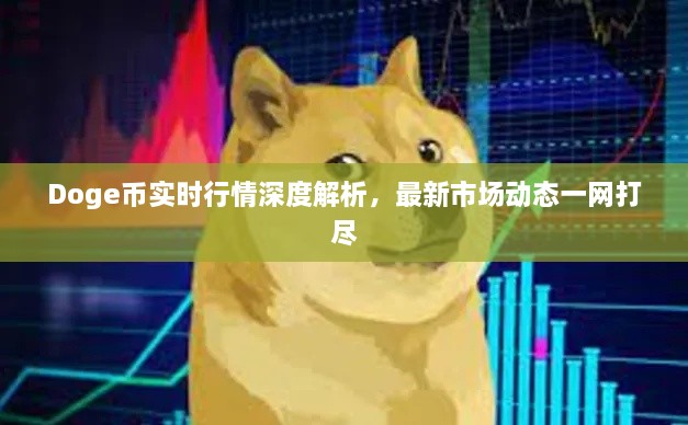 Doge幣實時行情深度解析，最新市場動態(tài)一網(wǎng)打盡