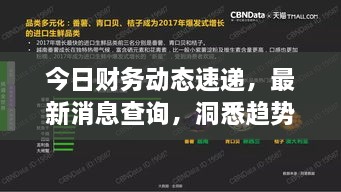 今日財務動態(tài)速遞，最新消息查詢，洞悉趨勢，掌握財經動態(tài)