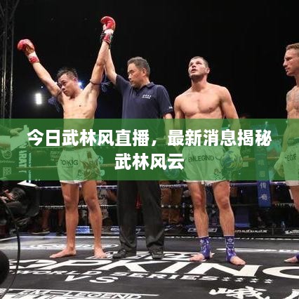 今日武林風直播，最新消息揭秘武林風云