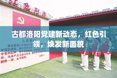 古都洛陽黨建新動態(tài)，紅色引領，煥發(fā)新面貌